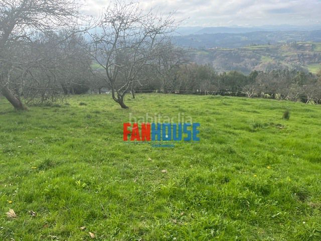 Foto ee27c732-9949-44a3-b617-c71f37294071. Terreny residencial a Huerces Gijón