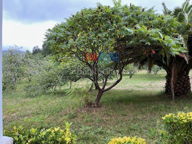Foto 204dcfd5-9968-4eb7-809f-eb3edf897ca7. Casa amb calefacció aparcament a Parroquias suroccidentales Villaviciosa