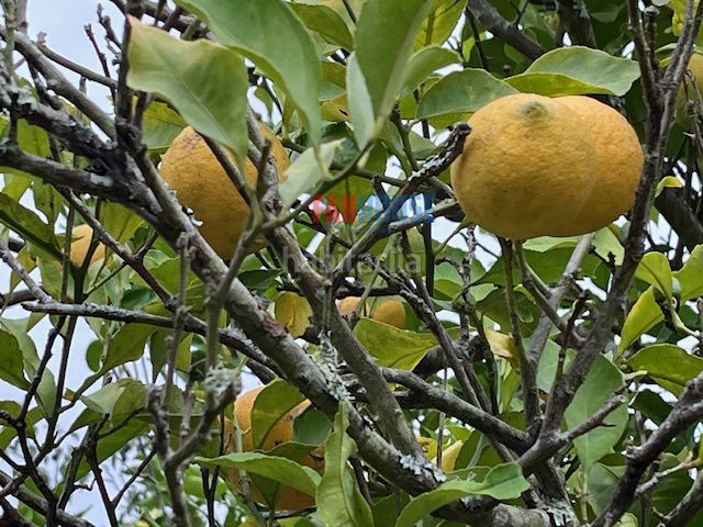 Foto 66ab5235-9b8e-45a1-926d-d3d9899ead49. Casa amb calefacció aparcament a Parroquias suroccidentales Villaviciosa