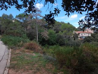 Terreny residencial  Carrer roca bruna-u. pedritxes. Terreno en venta en les pedritxes