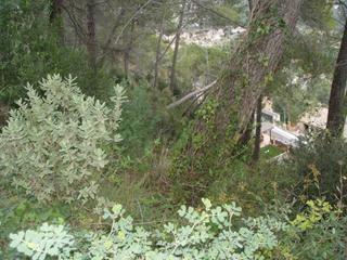 Terreno residencial  Carrer serra de sant feliu. Solar de 990 m2 con proyecto de casa unifamiliar.