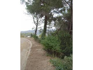 Terrain résidentiel  Carrer serra de sant feliu. Solar de 800 m2.