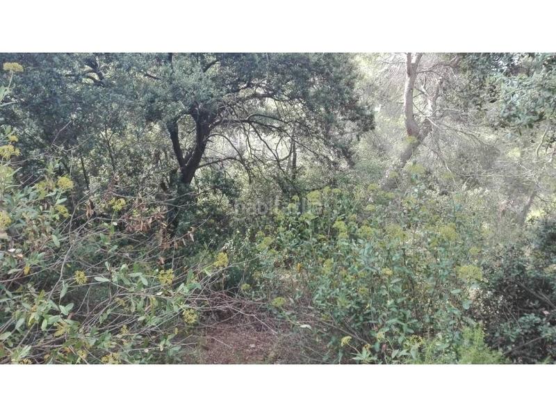 Foto 3b3cfdd3-d67e-4640-b7a5-7feb84af163b. Terreno residenziale in Matadepera