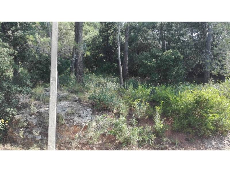 Foto cea539c0-5468-4739-8cdf-116f2153cb19. Terreno residenziale in Matadepera