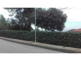 Terreny residencial  Carrer de mas sallés. Terreno edificable de 1.000 m2 29 m de ancho x 34 m de largo.