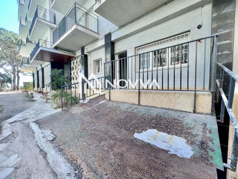 Foto 1eb31ce5-9186-43e3-83bf-4c3e04ac17ce. Planta baixa a Els Pins Blanes