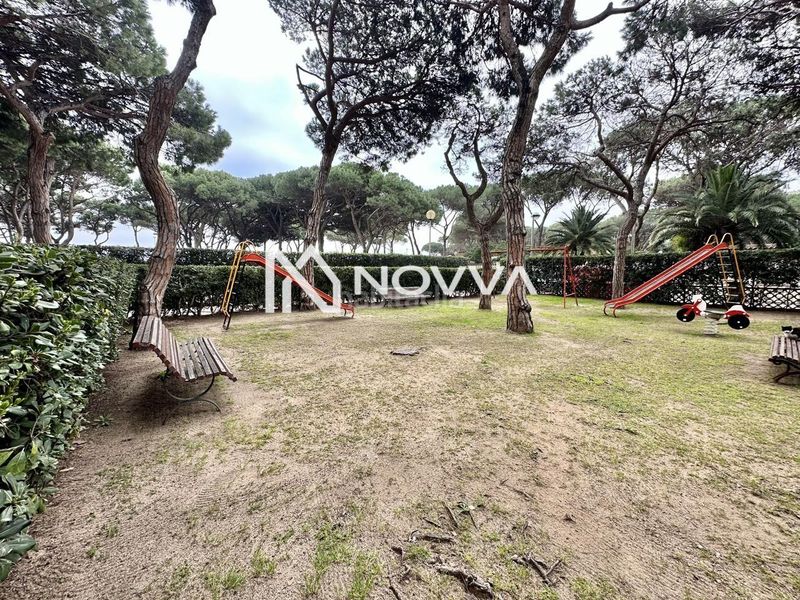 Foto 93409d01-6c58-45eb-bc55-49965e023f3b. Planta baixa a Els Pins Blanes