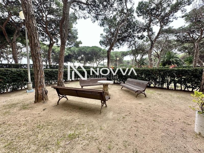 Foto 969be8a4-3de4-4e49-9247-5b9f14bf8698. Planta baixa a Els Pins Blanes