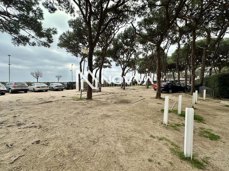 Foto e913af47-52bd-49e0-8937-fa418647223b. Planta baixa a Els Pins Blanes