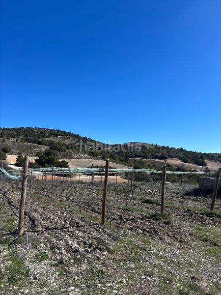 Foto 1960d557-2b87-4998-8f49-6ab8a4ec9632. Finca rústica a Vistalegre Murcia