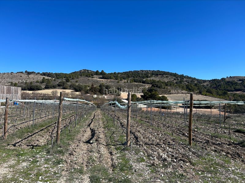 Foto f5207262-146b-41da-a230-50ee3302c022. Finca rústica a Vistalegre Murcia