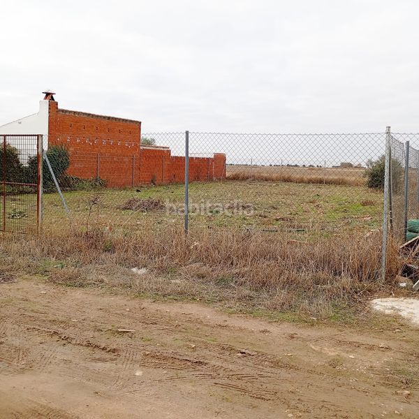 Foto 5102d157-a30e-4b3f-9d68-851ba7d80282. Finca rústica a Yepes