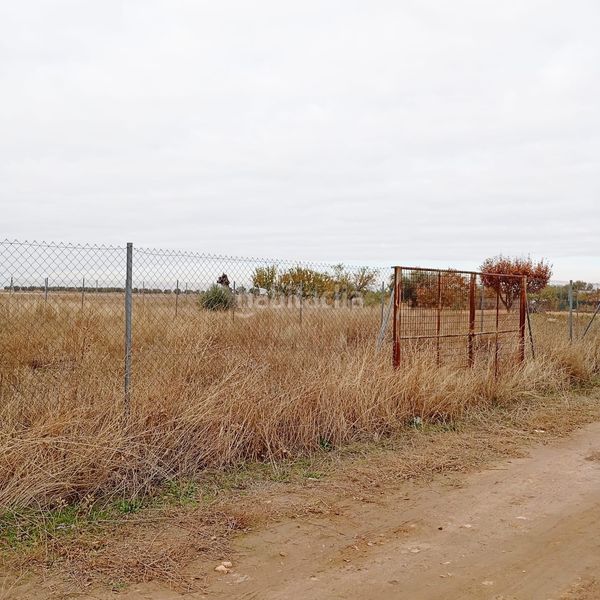 Foto d614522c-cebb-4283-952e-a7dada1363bc. Finca rústica a Yepes