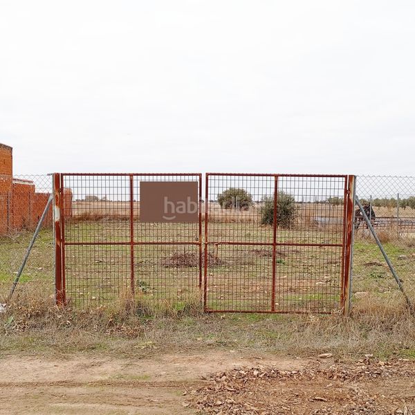 Foto d712a64e-368b-4e5e-b17e-dc57fe9f00a6. Finca rústica a Yepes