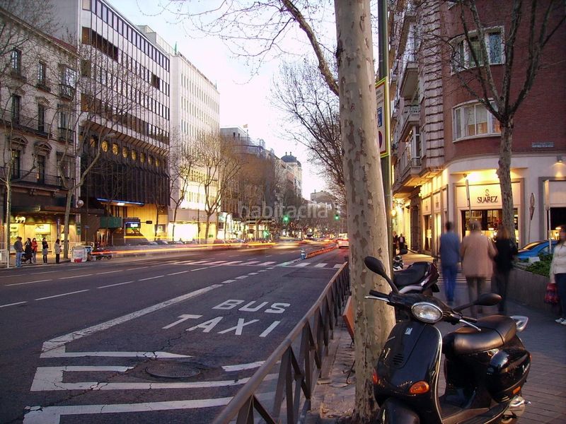 Foto e6f0f4bd-aeee-46b6-83c1-dc82736a6e3d. Aparcament cotxe a Castellana Madrid