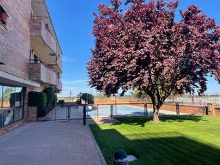 Miete Etagenwohnung in Paseo medalla de oro 2. Capital home brunete alquila en exclusiva piso en la zona de pra