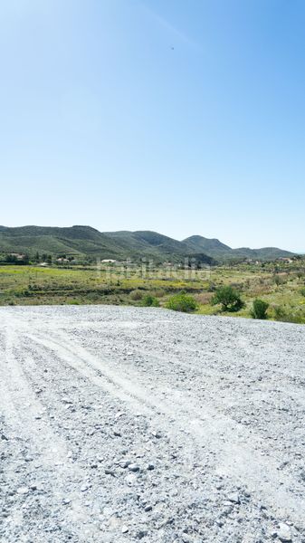 Foto 0772a700-2e27-422b-8820-4d7f57504b7c. Finca rústica parcela (paz-cela) en El Alamillo Mazarrón