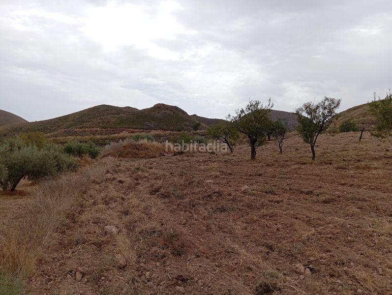 Foto 013473bc-e3af-4416-807b-60caf80bb8f3. Finca rústica a Bolnuevo Mazarrón