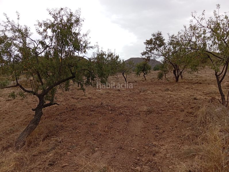 Foto 0f009d03-8a54-4617-9dc1-0243f4ad0290. Finca rústica a Bolnuevo Mazarrón