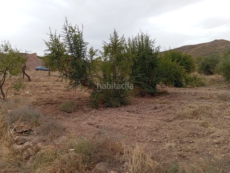 Foto 15840f61-b7e0-4c8e-8d09-82220b94f7bc. Finca rústica a Bolnuevo Mazarrón