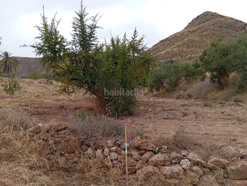 Foto 1cbcb702-e50f-4bac-bcba-8e8de434acef. Finca rústica a Bolnuevo Mazarrón