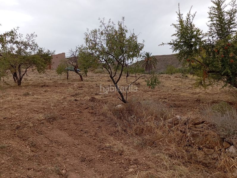 Foto 2f5bd712-34de-48f7-a4a4-2c02826b3d63. Finca rústica a Bolnuevo Mazarrón