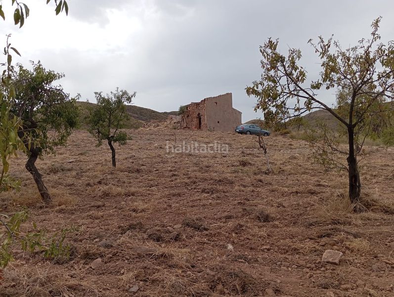 Foto 349140bf-f58b-482f-98be-b59f7d3ce651. Finca rústica a Bolnuevo Mazarrón