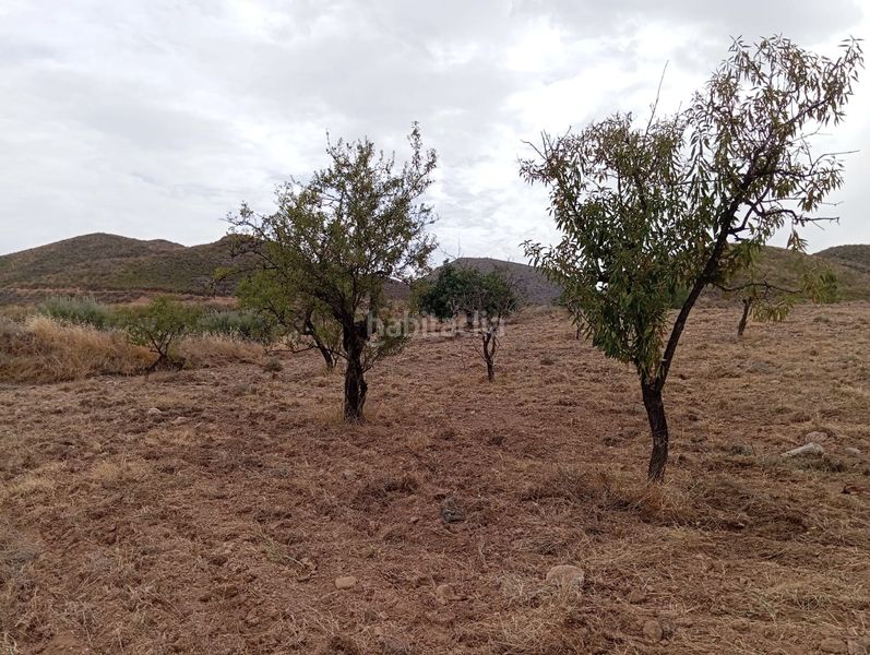 Foto 3fa36145-61bc-498c-b935-8418a7df9c27. Finca rústica a Bolnuevo Mazarrón