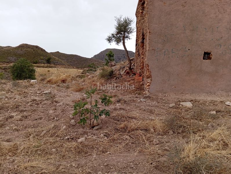 Foto 49c261d6-93c5-4c39-a4ec-91d8b9b56459. Finca rústica a Bolnuevo Mazarrón