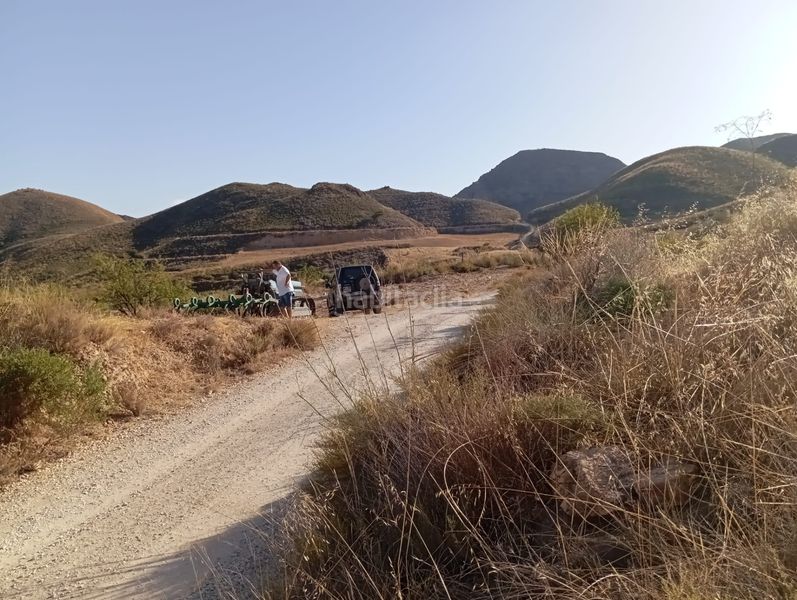 Foto 6e024fc4-d612-4ec7-917d-c381c7231e06. Finca rústica a Bolnuevo Mazarrón