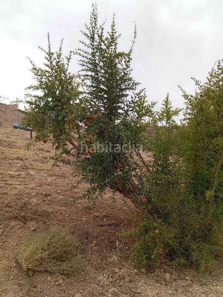 Foto 7c62b3c0-82d4-4684-8225-96b8453b1755. Finca rústica a Bolnuevo Mazarrón