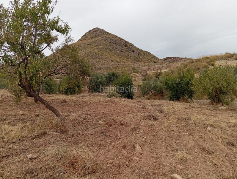 Foto 83adc5f9-2d45-4249-98b7-d3ccf498ab0b. Finca rústica a Bolnuevo Mazarrón