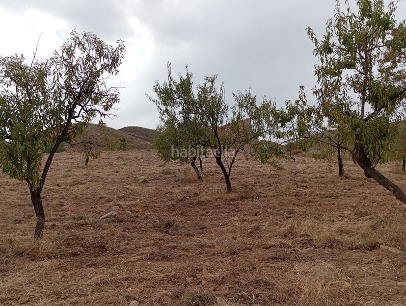 Foto 9d6652d5-16f8-4c73-a4f2-72763b2c17d2. Finca rústica a Bolnuevo Mazarrón