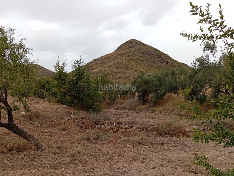 Foto aec38234-56c4-4af3-93fa-ee1b65dfab9a. Finca rústica a Bolnuevo Mazarrón