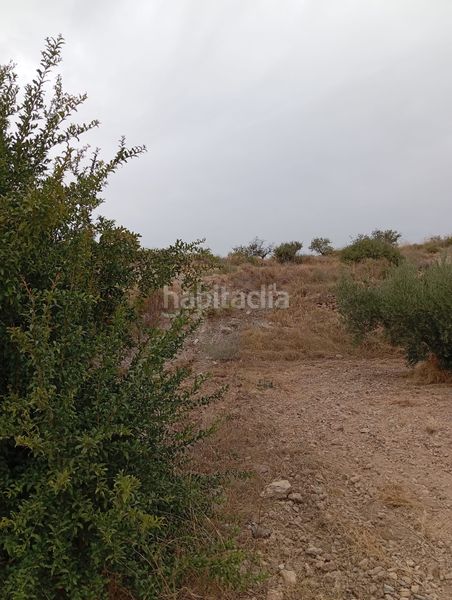 Foto bdef1b7a-c2bb-47f1-b24d-569a9581469d. Finca rústica a Bolnuevo Mazarrón