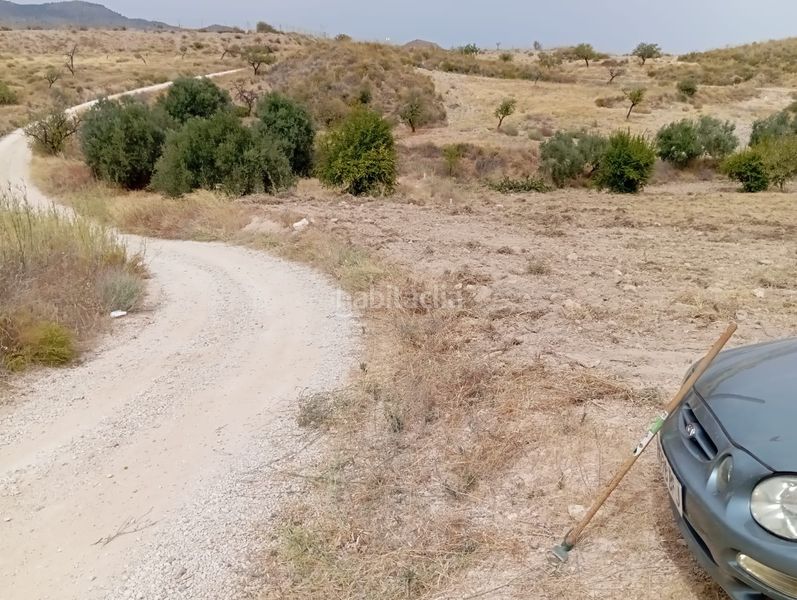 Foto c39331dd-ff69-41bf-a155-ff35f0a7d415. Finca rústica a Bolnuevo Mazarrón