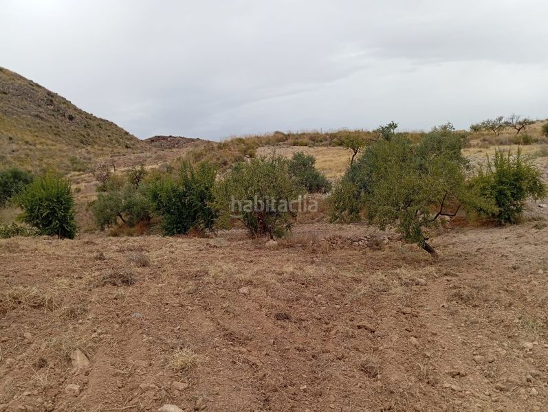 Foto d3ca3f4a-8801-48cd-8ab6-aa7ce9278bcb. Finca rústica a Bolnuevo Mazarrón