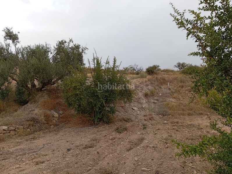 Foto d4aabdc7-8491-4dc2-bf9e-3344c5242924. Finca rústica a Bolnuevo Mazarrón