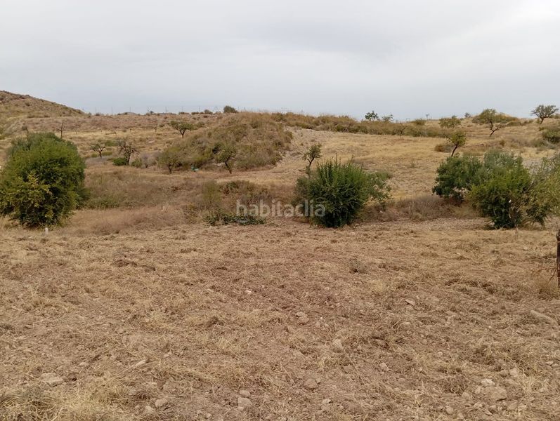 Foto dd6f5520-79e0-49c8-b52f-84ffabfe5298. Finca rústica a Bolnuevo Mazarrón