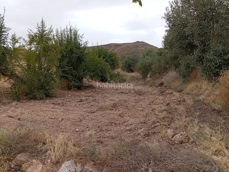 Foto e4810fd7-3cd6-42b0-a4b8-10330e6fd2b4. Finca rústica a Bolnuevo Mazarrón