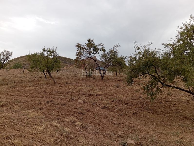 Foto f3529445-0c0a-490b-b2d7-602add57773e. Finca rústica a Bolnuevo Mazarrón