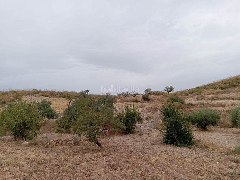 Foto f794ed89-2357-4cac-b8c5-83857facbd90. Finca rústica a Bolnuevo Mazarrón