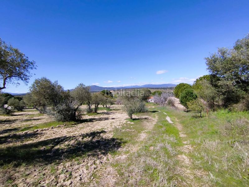 Foto 0b8b5def-deef-4b88-b983-0099e4a7caa5. Finca rústica a Escalona