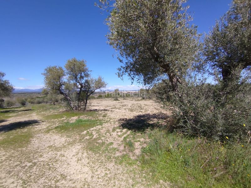 Foto 0fd14cf1-9d38-4ed0-9ff2-ea2d3878c3b1. Finca rústica a Escalona