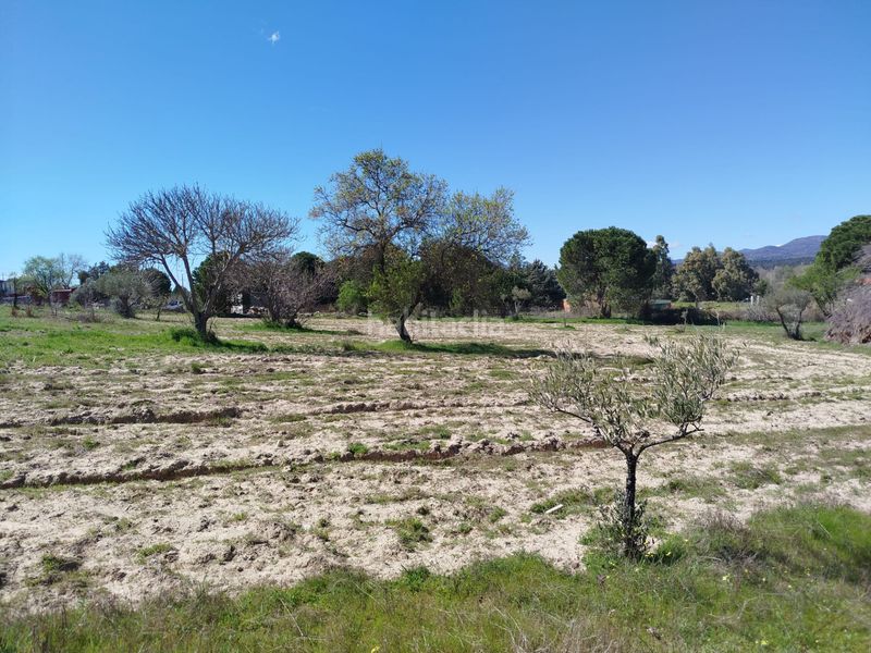 Foto 28ff53a3-9693-43ae-a82f-afa802f3f547. Finca rústica a Escalona