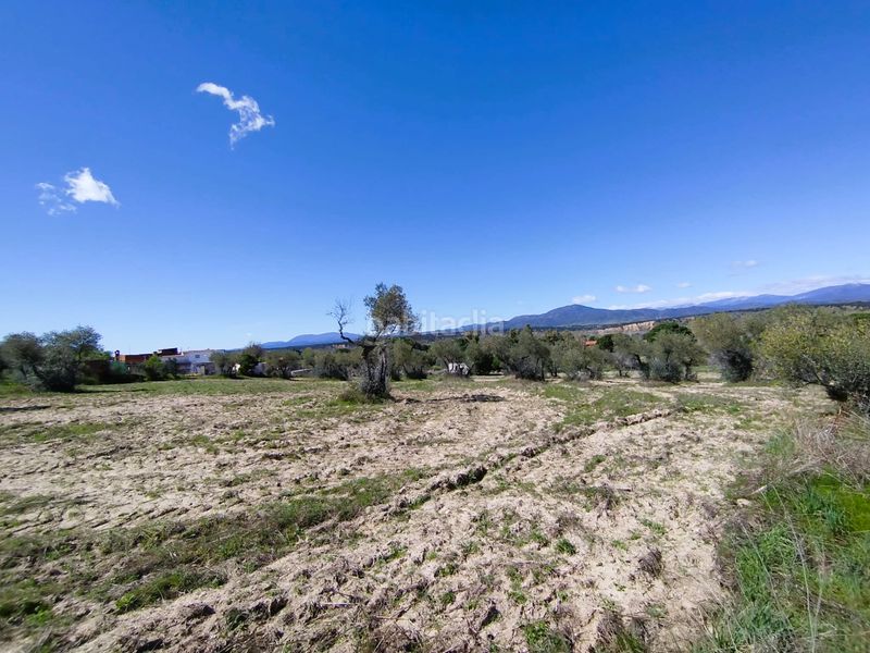 Foto 70ad3282-5e58-4e5b-be23-090a22942a59. Finca rústica a Escalona