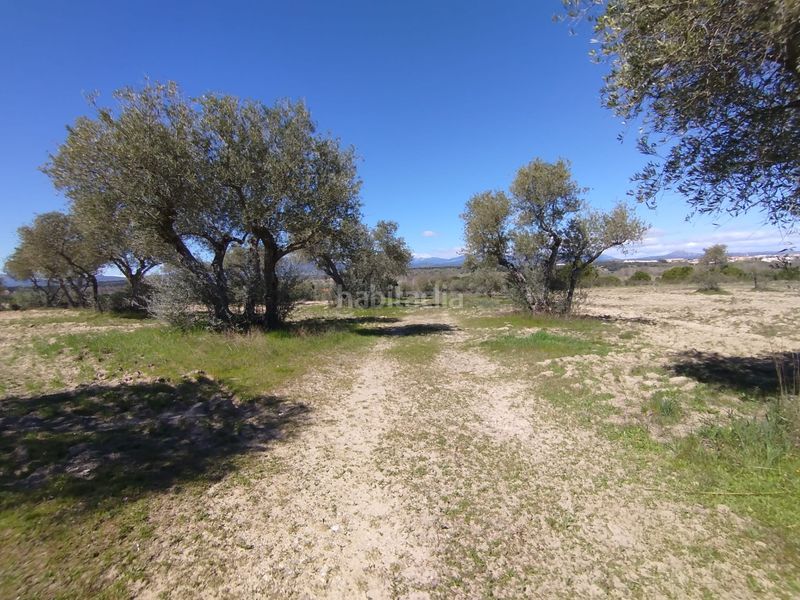 Foto dd9cfddc-1c37-4cf5-90fe-2b13d4bb5979. Finca rústica a Escalona