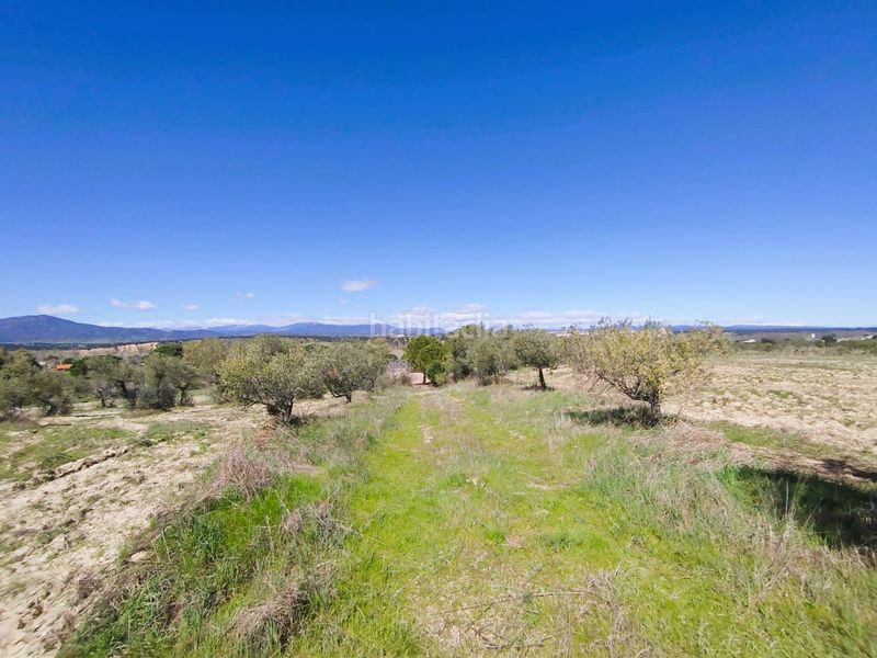 Foto f8a2ed34-8bb1-4c7c-aecd-bd60c0ed8f6f. Finca rústica a Escalona