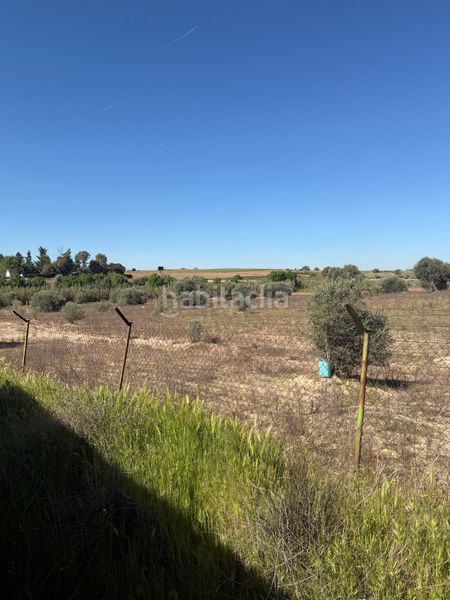 Foto 0dd0cbba-f29b-4162-8222-df659730e416. Finca rústica a Urb. Calypo Navalcarnero