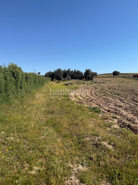 Foto 100a5507-f08d-436c-8808-5e6993feeb49. Finca rústica a Urb. Calypo Navalcarnero